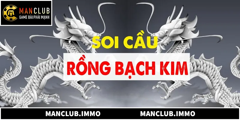 Dàn Đề Rồng Bạch Kim Là Gì Và Cách Hiểu Chuẩn Xác